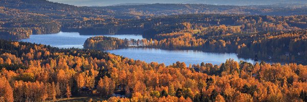 Drzewa, Lake Gunnern, Lasy, Gunnarskog, Jesień, Jezioro, Szwecja, Gmina Arvika