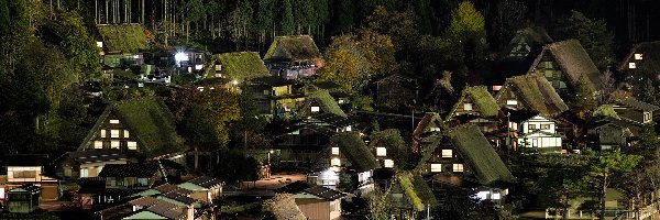 Domy, Japonia, Noc, Las, Prefektura Gifu, Wioska Shirakawa