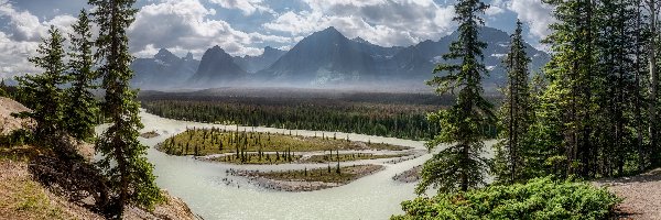 Chmury, Góry, Rzeka Athabaska, Park Narodowy Jasper, Kanada, Drzewa, Las