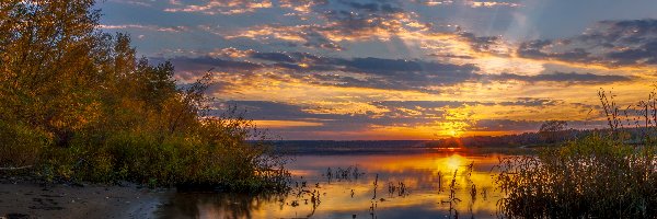 Chmury, Krzewy, Szuwary, Drzewa, Jezioro, Wschód słońca, Trawa