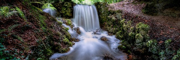Irlandia, Wodospad, Rzeka, Drzewa, Las, Tipperary, Kamienie
