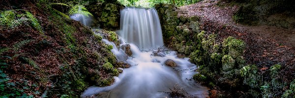 Irlandia, Wodospad, Rzeka, Drzewa, Las, Tipperary, Kamienie