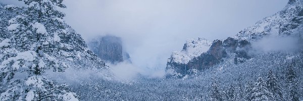 Mgła, Dolina Yosemite Valley, Świerki, Góry, Park Narodowy Yosemite, Stany Zjednoczone, Stan Kalifornia, Drzewa, Zima