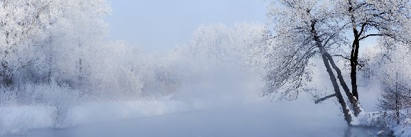 Rzeka, Ośnieżone, Mgła, Zima, Drzewa