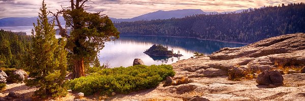 Lasy, Park Emerald Bay, Lake Tahoe, Jezioro, Góry, Stany Zjednoczone, Kalifornia, Wyspa Fannette, Drzewa