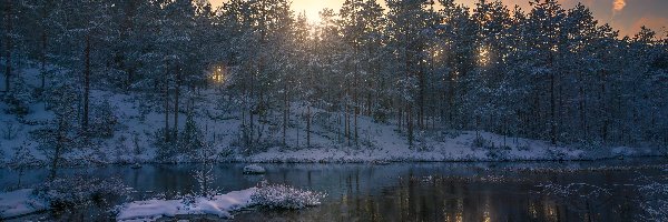 Ringerike, Zima, Drzewa, Norwegia, Jezioro, Zachód słońca