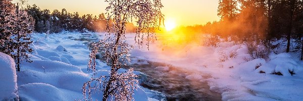 Drzewo, Oszronione, Rzeka Juutuanjoki, Śnieg, Zima, Finlandia, Laponia, Wschód słońca, Mgła