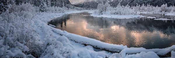 Krzewy, Rzeka, Stany Zjednoczone, Drzewa, Dolina, Góry, Ośnieżone, Zima, Eagle River, Alaska