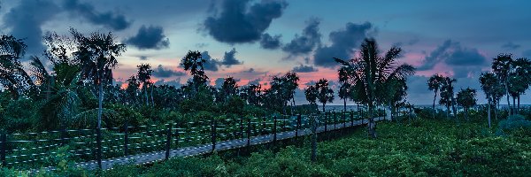 Wyspa Cayo Coco, Pomost, Palmy, Kuba, Chmury, Zachód słońca