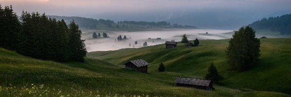 Płaskowyż Seiser Alm, Domki, Dolomity, Góry Sassolungo, Mgła, Włochy, Łąki, Drewniane, Dolina Val Gardena