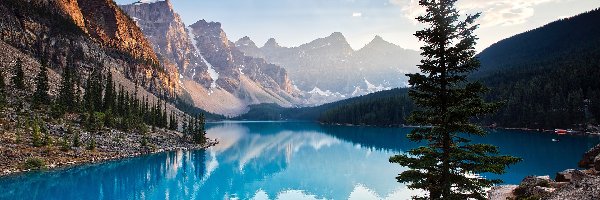Drzewa, Park Narodowy Banff, Jezioro Moraine, Góry, Prowincja Alberta, Kanada