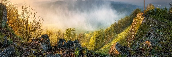 Kamienie, Tatry, Słowacja, Szczyt Wysoka, Mgła, Szczyt, Krzyż, Góry