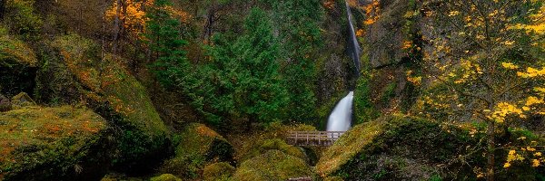 Skały, Oregon, Roślinność, Mostek, Wahclella Falls, Rzeka Kolumbia, Las, Stany Zjednoczone, Wodospad, Drzewa