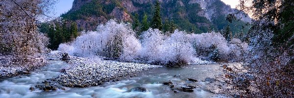 Kamienie, Drzewa, Góra, Snoqualmie River, Rzeka, Stany Zjednoczone, Stan Waszyngton, Oszronione, Middle Fork