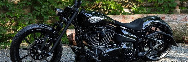 Harley Davidson, Motocykl, Czarny