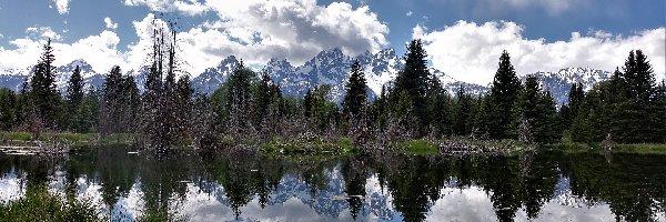 Chmury, Drzewa, Rzeka Snake River, Góry Teton Range, Park Narodowy Grand Teton, Stany Zjednoczone, Stan Wyoming, Las, Odbicie