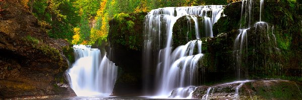 Stan Waszyngton, Las, Cougar, Stany Zjednoczone, Lower Lewis River Falls, Wodospad