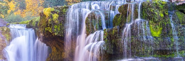 Rzeka, Lower Lewis River Falls, Stany Zjednoczone, Stan Waszyngton, Skała, Drzewa, Jesień, Wodospad