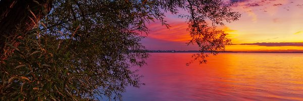Jezioro, Drzewo, Zachód słońca, Brzeg