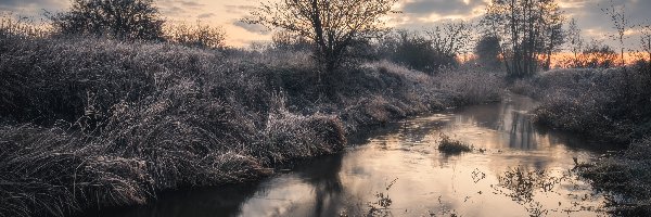 Rzeka Bzura, Trawa, Drzewa, Polska, Oszroniona, Zima