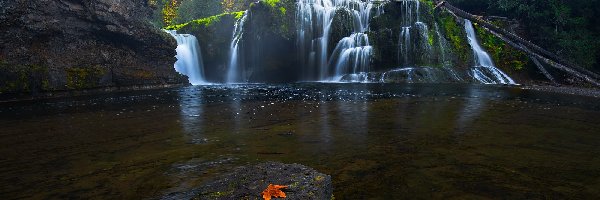 Liść, Kamień, Stany Zjednoczone, Stan Waszyngton, Las, Wodospad Lower Lewis River Falls, Osada Cougar, Omszałe