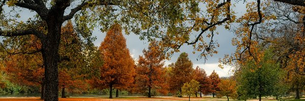 Jesień, Park, Drzewa, Ławka, Ścieżka