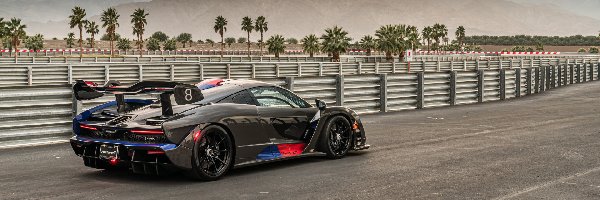 McLaren Senna XP