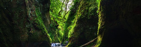 Szkocja, Rzeka Carnock Burn, Wąwóz Finnich Glen, Szkocja, Stirling