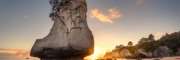 Plaża, Skała, Nowa Zelandia, Półwysep Coromandel, Te Hoho Rock, Drzewa, Wschód słońca, Morze