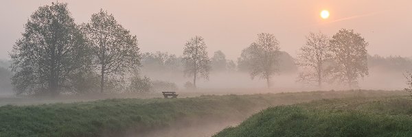 Rzeka, Mgła, Wschód słońca, Ławka, Drzewa