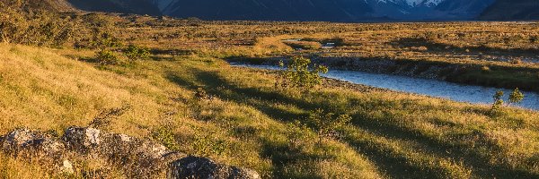 Nowa Zelandia, Tasman River, Skały, Rzeka, Góra Cooka, Trawa, Drzewa