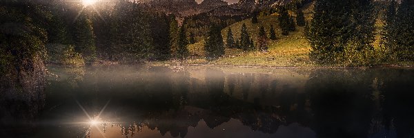 Odbicie, Północne Alpy Wapienne, Austria, Jezioro Almsee, Zmierzch, Promienie słońca, Gwiazdy, Góry Gosaukamm, Drzewa, Filzmoos