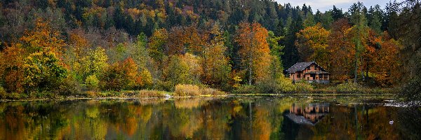 Jesień, Dom, Jezioro, Drzewa, Kolorowe