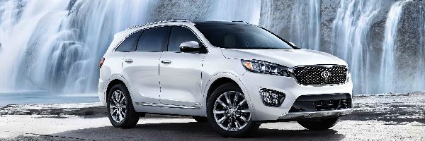 Kia Sorento, Biała