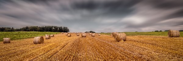 Niebo, Pole, Chmury, Słoma, Bele