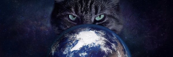 Planeta, Grafika, Ziemia, Kot