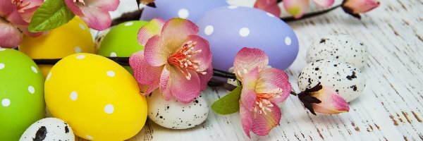 Kolorowe, Kwiaty, Jajka, Wielkanoc