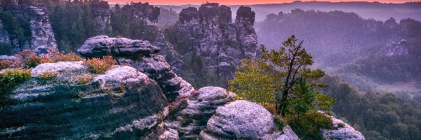 Góry Połabskie, Skały, Niemcy, Sosna, Formacja Bastei, Lasy, Zachód słońca, Park Narodowy Saskiej Szwajcarii