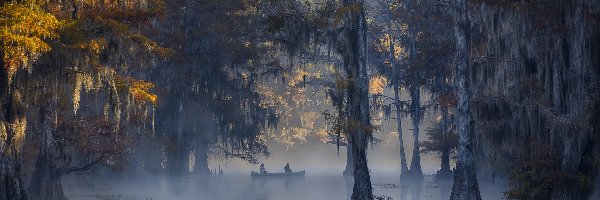 Mgła, Caddo Lake, Stany Zjednoczone, Stan Teksas, Drzewa, Kajak, Karnack, Jezioro