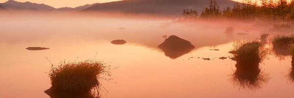 Trawa, Jack London, Rosja, Obwód magadański, Drzewa, Mgła, Kołyma, Jezioro