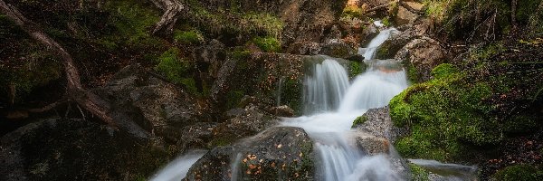 Omszałe, Patagonia, Skały, Roślinność, Las, Rzeka, Wodospad, Argentyna, Park Narodowy Los Glaciares, Kamienie