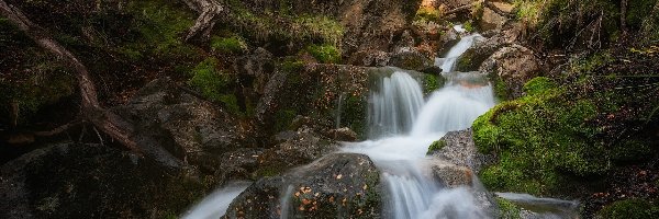 Omszałe, Patagonia, Skały, Roślinność, Las, Rzeka, Wodospad, Argentyna, Park Narodowy Los Glaciares, Kamienie