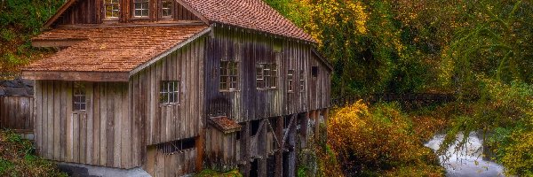 Las, Cedar Creek Grist Mill, Stany Zjednoczone, Stan Waszyngton, Rzeka, Drzewa, Woodland, Młyn