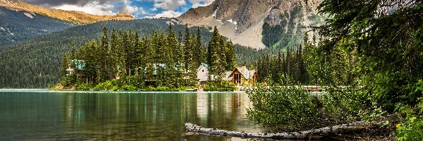 Drzewa, Las, Emerald Lake, Jezioro, Park Narodowy Yoho, Kanada, Chmury, Góry, Odbicie