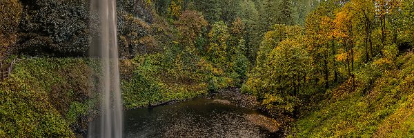 Roślinność, Skały, Las, South Falls, Wodospad, Stany Zjednoczone, Stan Oregon, Drzewa, Park stanowy Silver Falls