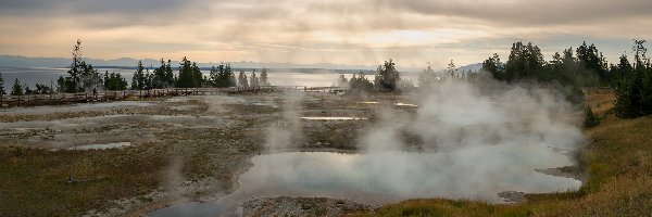 Drzewa, Thumb Geyser, Stany Zjednoczone, Jezioro, Gorące źródła, Wschód słońca, Pomost, Park Narodowy Yellowstone, Gejzery, Stan Wyoming