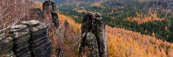 Jesień, Drzewa, Las, Formacje, Skały