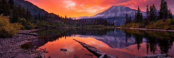 Drzewa, Waszyngton, Zachód słońca, Lasy, Góra, Stratowulkan Mount Rainier, Jezioro, Stany Zjednoczone, Park Narodowy Mount Rainier, Kłody