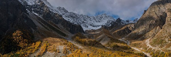 Śnieg, Drzewa, Dolina, Góry