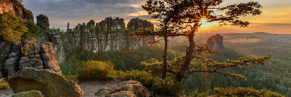 Skały, Góry Połabskie, Niemcy, Sosny, Park Narodowy Saskiej Szwajcarii, Formacja Bastei, Drzewa, Zachód słońca